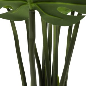 Alternative view of Split Philodendron (Split Leaf) 120cm